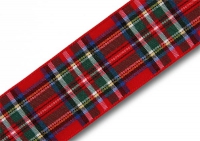 Ribbon 201