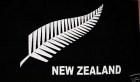 NZ Silver Fern