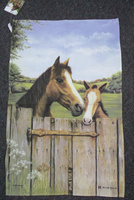 tt horse foal
