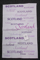 tt scotland