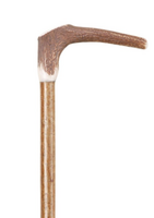 Staghorn Plain Handle Stick