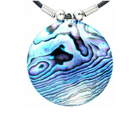 Fiordland Paua necklace.