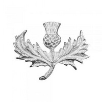 Wide Thistle Brooch