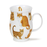 SU-CATS-GI