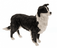 Border Collie Figurine  Standing