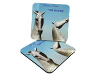 'The Kelpies' Coaster