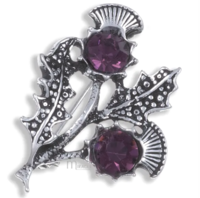 Double Thistle Amethyst Brooch 