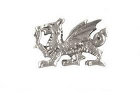 Welsh Dragon Pin