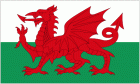 Welsh National flag